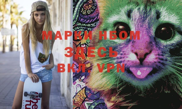 гидропоника Няндома