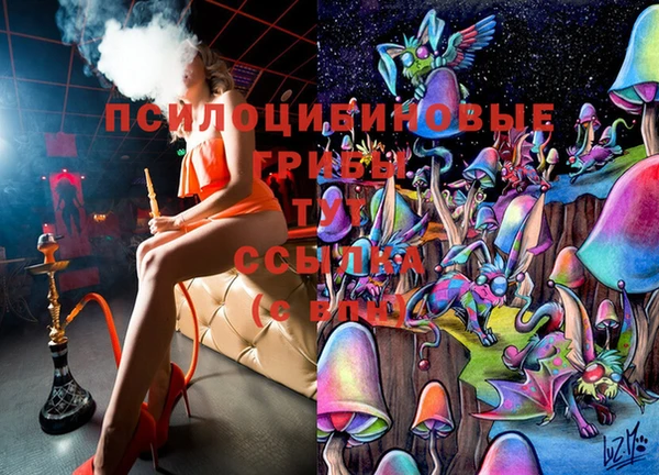 a pvp Баксан