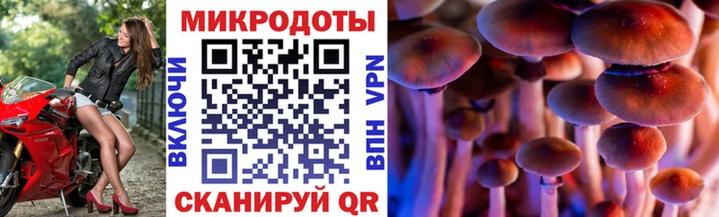 купить  цена  Канск  Псилоцибиновые грибы прущие грибы 
