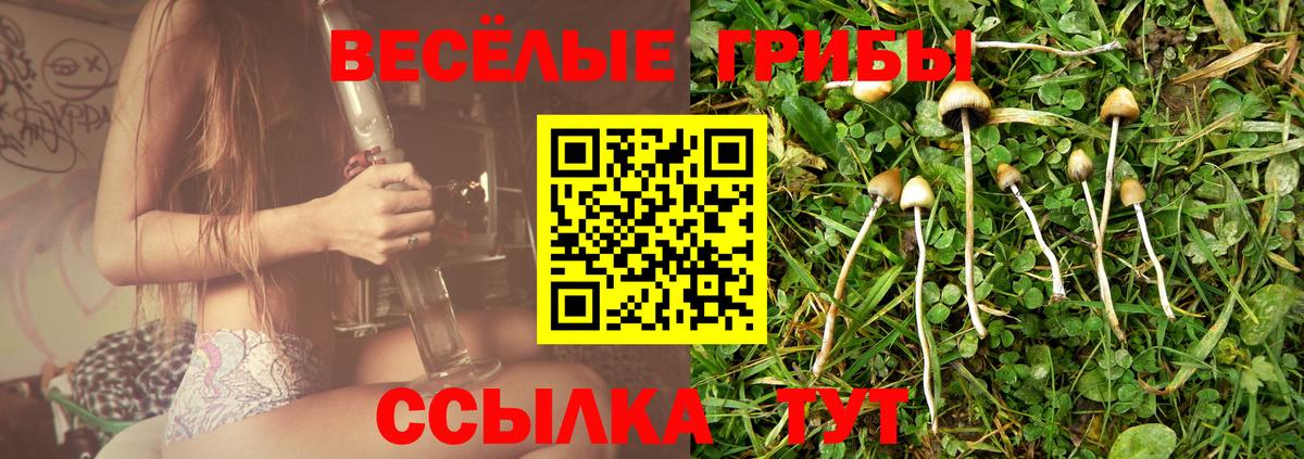 Псилоцибиновые грибы мухоморы Канск