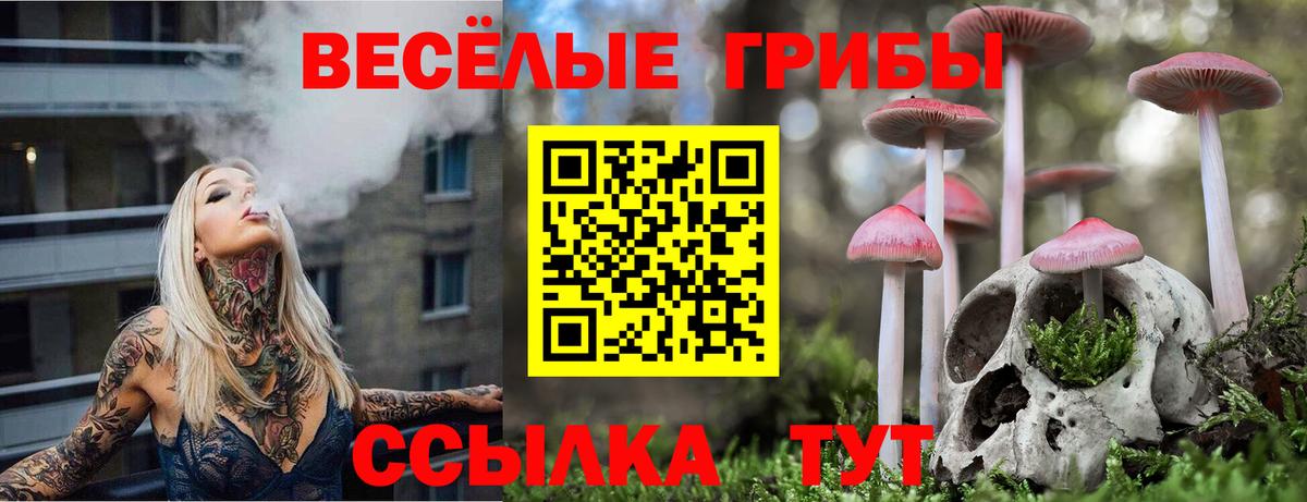 Галлюциногенные грибы мицелий Канск