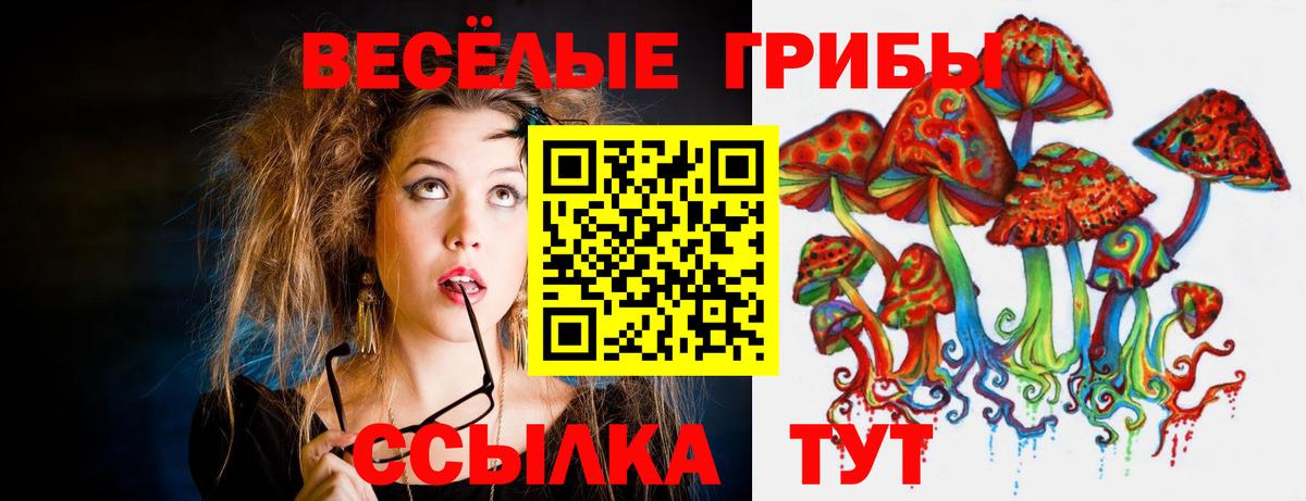 Псилоцибиновые грибы ЛСД  Галлюциногенные грибы Psilocybe  Вход с VPN  Канск 