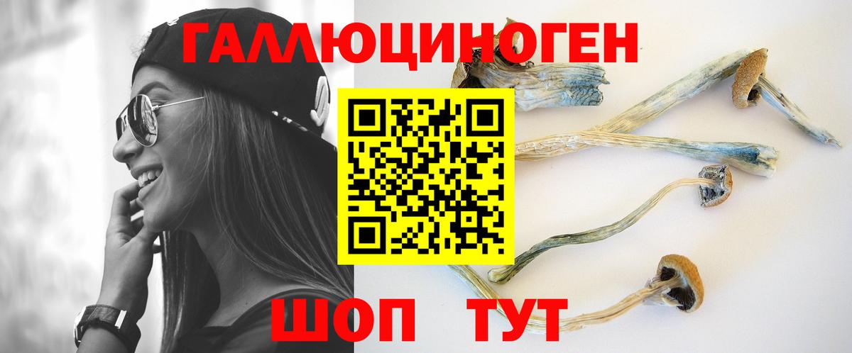 Мяу-Мяу  Масло THC  Купить закладку  Канск  Вход с VPN  Диски  МАРИХУАНА  Альфа-ПВП  Хэш  COCAIN 